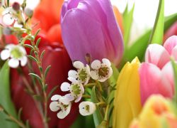 Blumen