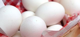 Eier