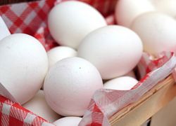 Eier