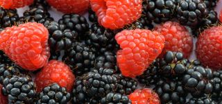 Himbeeren und Brombeeren