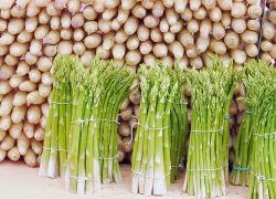 Spargel