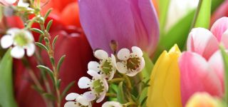 Blumen